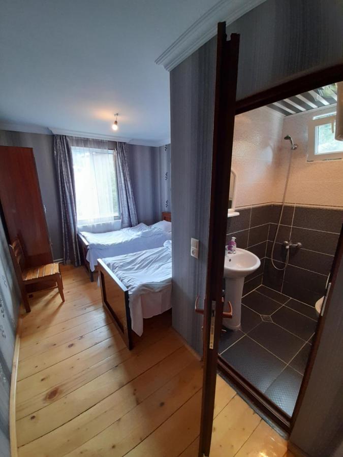 House Mon Amie Otel Mestia Dış mekan fotoğraf